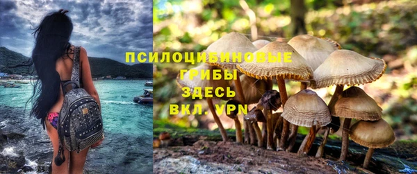 гидропоника Вяземский