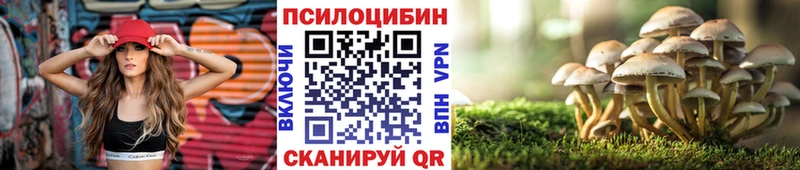 Псилоцибиновые грибы Cubensis Звенигород